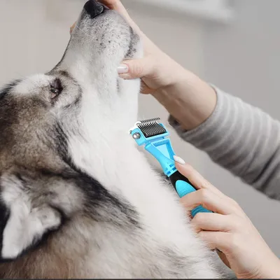 Produktbild von Hundenborstel, Katzenborstel, Hunde- und Katzenkamm, doppelseitig, 23 + 12, Unterfellbürste für Hunde und Katzen, für langes oder kurzes Haar, Haustierunterfellbürste, 96% Knoten und loses Haar