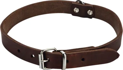 Produktbild von Beeztees - Hundehalsband - Leder - braun - 43-52 cm x 20 mm