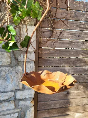 Produktbild von Edelrost Vogeltränke am Haken