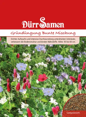 Artikelbild 1 von 'Gründünger Bunte Mischung Portionstüte 50 g'