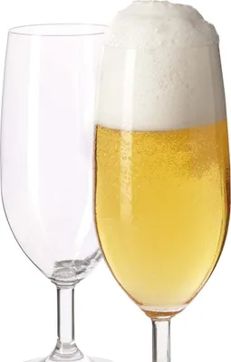 Produktbild von Leonardo Daily 6 ks Pivní tulipány