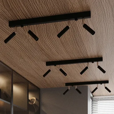 Obrázek produktu pro Stropní svítidlo EYETECH 4 černé