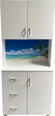 Produktbild von Schrank mit bedruckter Rückwand Palmen