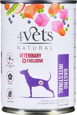 Produktbild von 4VETS Natural Gastro Intestinal Dog - Nassfutter für Hunde - 400 g