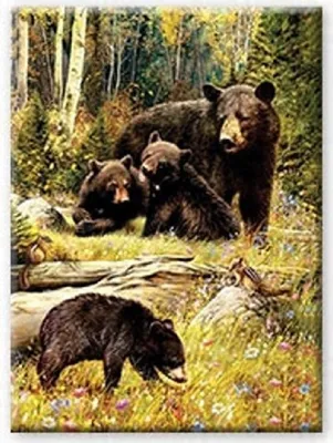 Image de NORIMPEX Petit ours en diamant posé au sol 30 x 40 cm