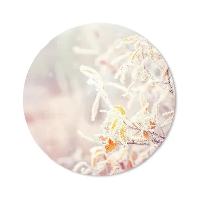 Produktbild von MuchoWow® Mauspad Mousepad Winter - Äste - Schnee - Natur 30x30 cm - Mousepads - Maus Mat - Pad - Mausunterlage - Tischunterlage - Schreibtischmatten