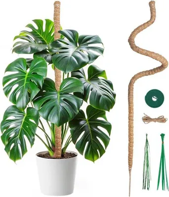 Produktbild von Famanu Kletterhilfe aus Kokosfaser - 120 cm, faltbar für Kletterpflanzen, ideal für Garten und Innenräume