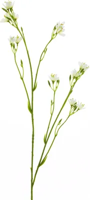 Produktbild von artplants.de Deko Zweig Petunie YAWEI, hellblau-Creme, 95 cm - Künstliche Blume