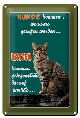 Produktbild von Blechschild Spruch 20x30cm Hunde kommen wenn Katzen kommen