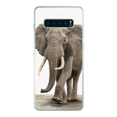 Produktbild von MuchoWow® Handyhülle Schutzhülle Hülle für Samsung Galaxy S10 Plus Elefant - Kinder - Tiere - Mädchen Silikon Softcase Handy Hülle - Schutzhülle