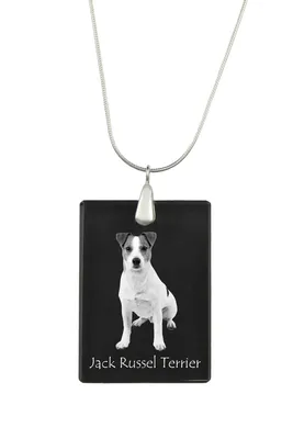 Image de Jack Russell Terrier - Pendentif en cristal avec chien, collier en argent avec photo, pendentif personnalisé de la marque Art-Dog