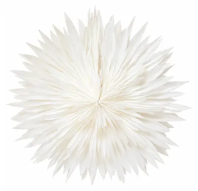 Productafbeelding van Only Natural – Lampenkap van papier – Wit – 60 cm