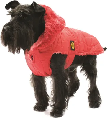 Produktbild von Fashion Dog Steppmantel für Hunde - Rot - 55 cm