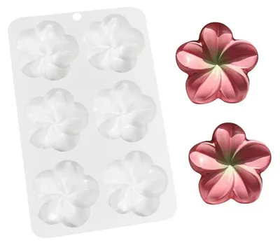 Produktbild von Silikonform Frangipani 6er Set für Mousse Kuchen & Desserts