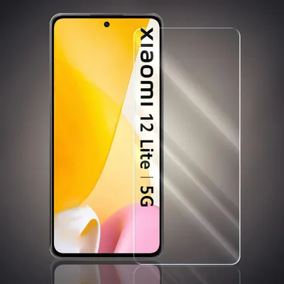A smartphone screen protector is shown next to a smartphone.