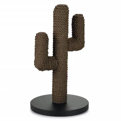 Zdjęcie produktu dla Zaprojektowany przez Lotte Cat Tree Cactus Wood 35x60 cm Czarny