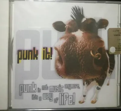 Image de Punk It