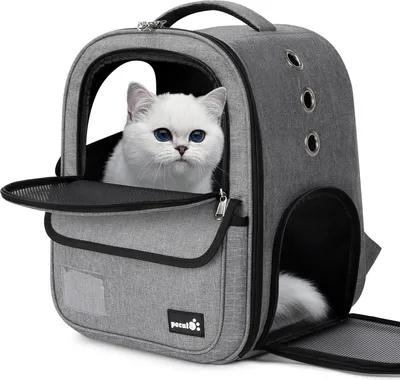 Produktbild von Faltbare Haustier-Rucksack 6 kg - Tragetasche für Katzen zum Reisen und Wandern - Atmungsaktiv und Leicht - Wasserdicht - Oxford-Gewebe - Grau - Größe L Reisetasche Katze
