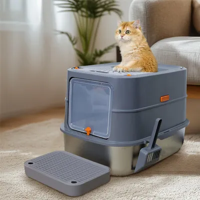 A cat sits on top of a large, enclosed litter box with a scoop and a mat nearby.