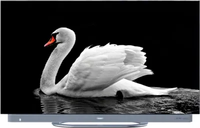 Produktbild von Haier H65C900UX, 165,1 cm (65"), 3840 x 2160 Pixel, OLED, Smart-TV, WLAN, Schwarz