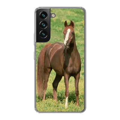 Produktbild von MuchoWow® Handyhülle Schutzhülle Hülle für Samsung Galaxy S22 Pferde - Gras - Braun Silikon Softcase Handy Hülle - Mobiltelefonhülle