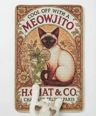 Image de Tapis en sisal pour chat, dimensions 60 x 40 cm