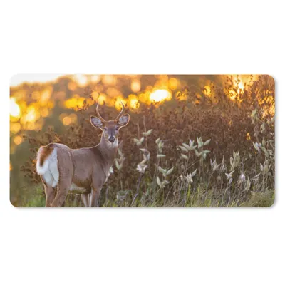 Produktbild von MuchoWow® Schreibtischunterlage Hirsche - Pflanzen - Sonnenuntergang - Wildtiere - Natur 80x40 cm - XXL Mauspad - Gaming Mauspad