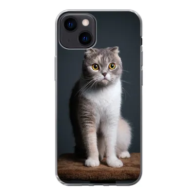 Produktbild von MuchoWow® Handyhülle Schutzhülle Hülle für iPhone 13 Katze - Haustiere - Licht Silikon Softcase Handy Hülle - Karteninhaber
