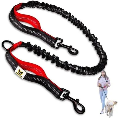 Obrázek produktu pro Prodlužovací popruh pro vodítko na jogging, pro psy – bungee, délka 120–170 cm