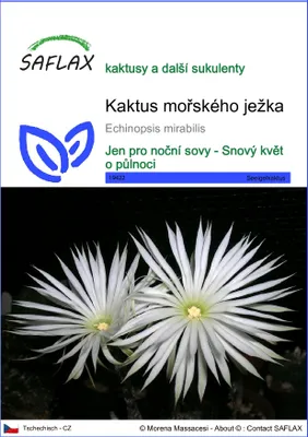 Obrázek produktu pro SAFLAX - kaktus mořského ježka - Echinopsis mirabilis - 40 Semena