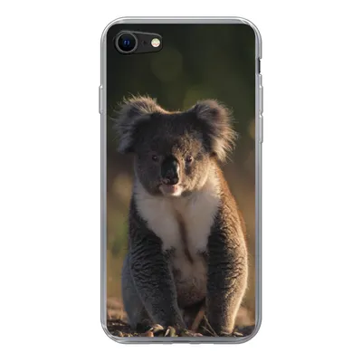 Produktbild von MuchoWow® Handyhülle Schutzhülle Hülle für iPhone 8 Koala - Sonne - Tier - Kinder - Jungen - Mädchen Silikon Softcase Handy Hülle - Schutzhaube