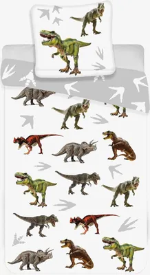 Produktbild von Jugendbettwäsche Set 140x200 Bunte Dinosaurier Träume Dinos