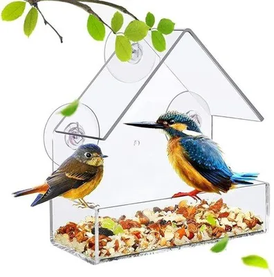 Image de Nichoir avec fenêtre coulissante transparente et perchoir pour oiseaux