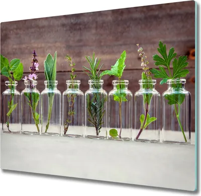 Produktbild von Glas Herdabdeckplatte 60x52 cm Spritzschutz Glasabdeckplatte Schneidebrett Pflanzen in Gläsern