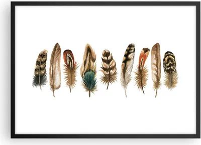 Produktbild von Gerahmtes Poster - Schwarzer Rahmen - Weiß Hintergrund Federn - 70x50 cm - Wand Bild - Wanddeko - Wandbilder - Kunstposter - Wandposter - Bilderrahmen - Bilder - Kunstdruck - P2BAA70x50-4419