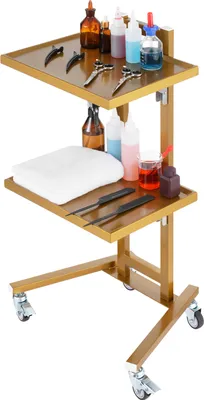 Zdjęcie produktu dla SucceBuy 2-poziomowy wózek laboratoryjny ze stali nierdzewnej, wózek wielofunkcyjny z 2 tacami, mobilny wózek medyczny z 4 cichymi kołami, wózek do laboratorium, kliniki, szpitala, salonu, złoty