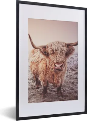 Produktbild von MuchoWow® Gerahmtes Poster Schottische Highlander - Schnee - Sonne 40x60 cm - Poster mit Schwarzem Bilderrahmen Wandposter Rahmen Foto Bilder - Poster in Rahmen