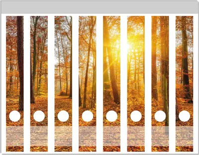 Produktbild von Wallario Ordnerrücken Sticker, selbstklebend für schmale Ordner, 8 Stück, Motiv Sonnenuntergang im herbstlichen Wald