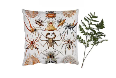 Produktbild von MuchoWow® Zierkissen Sofakissen Wohnzimmer Dekokissen 50x50 cm Retro - Spinne - Ernst Haeckel - Spinnen - Komfort - Sofakissen