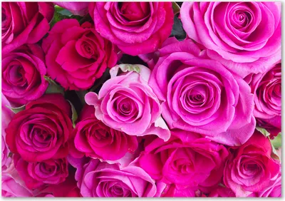 Produktbild von Tulup® Leinwandbild - 100x70 cm - Wandkunst - Drucke auf Leinwand - Leinwanddruck  - Blumen & Pflanzen - Rosa - Blumenstrauß Rosen