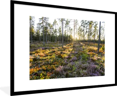 Produktbild von MuchoWow® Gerahmtes Poster Bäume in einer Heidelandschaft 90x60 cm - Poster mit Schwarzem Bilderrahmen Wandposter Rahmen Foto Bilder - Wanddekoration - Fotos