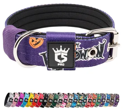 Produktbild von Hunde Halsband verstellbar, dicke Metall Schnalle, 32-40 cm, für schwere Hunde