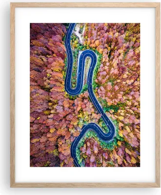 Produktbild von Gerahmtes Poster - Rahmen in heller Eiche - Kurvenreich Weg Wald - 40x50 cm - Wand Bild - Wanddeko - Wandbilder - Wandposter - Bilderrahmen - Bilder - Kunstdruck - Wandbild - P2NPA40x50-4291