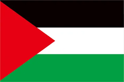 Immagine prodotto di Bandiera della Palestina con 2 Ottone -GROMPets Colore vibrante Poliestere Doppia cucitura Colore veloce Paese per la decorazione esterna 30x45cm/11.8x17.7in in