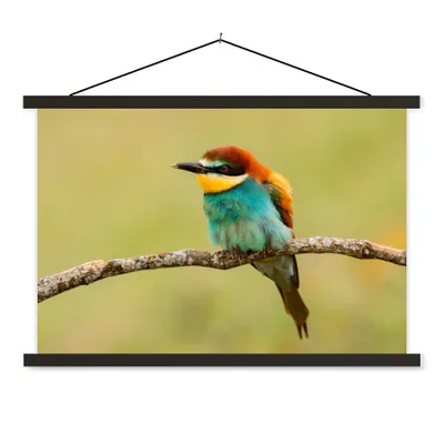 Produktbild von MuchoWow® Textilposter Vogel - Bienenfresser - Tiere 150x100 cm mit schwarzem Rahmen - Schlafzimmer