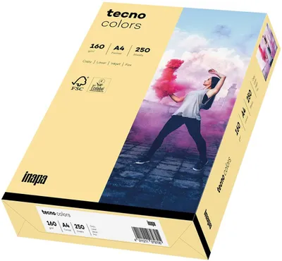 Produktbild von Tecno Colors Chamois Kopierpapier A4