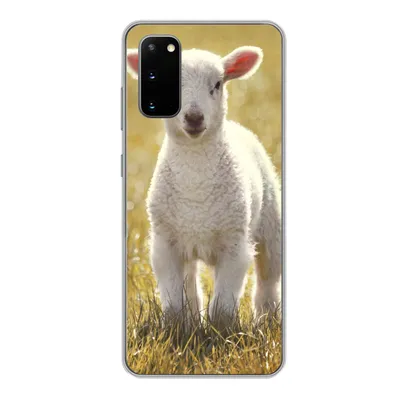 Produktbild von MuchoWow® Handyhülle Schutzhülle Hülle für Samsung Galaxy S20 Schafe - Gras - Sonne Silikon Softcase Handy Hülle - Bild