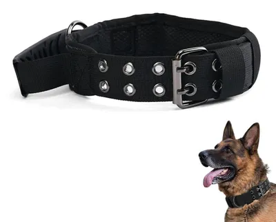 Image de Collier tactique pour chien avec poignée de contrôle, réglable, longueur 43–53 cm, noir, en nylon