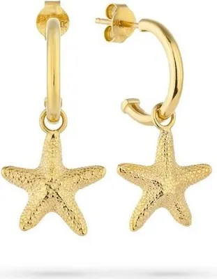 Immagine prodotto di Orecchini da donna Radiant RY000137 in acciaio inossidabile 2 cm