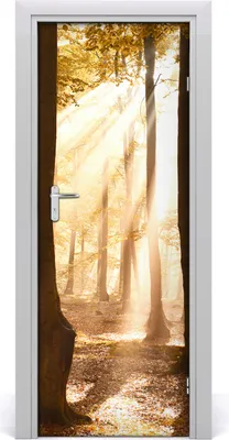 Produktbild von Tulup Türaufkleber 75x205 cm Dekorative Aufkleber Selbstklebend Wasserdichte Tapete Abnehmbar Schlafzimmer Wohnzimmer Wohnkultur - Wald im Herbst